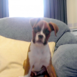 No more photos mum