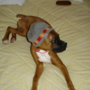 Mia's Winter Hat