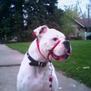 On a Walk