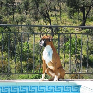 Raiko at his pool