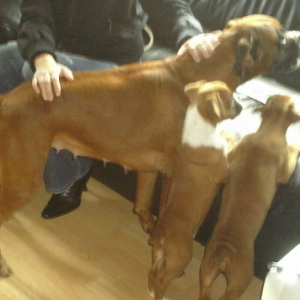 Red with mum and sis