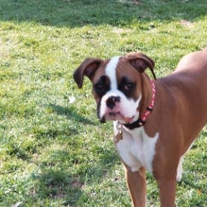 Zoey