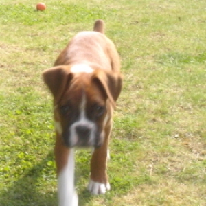 Coming to get you !!