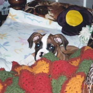 Peek-a-Boo!