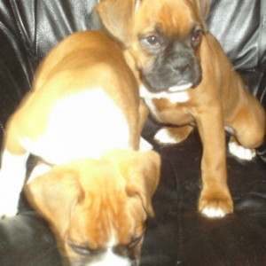 Red with his sister