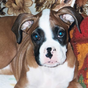 Aren't I cute??
