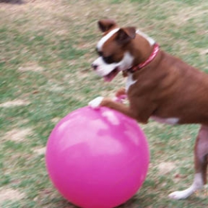 Love this Ball!!