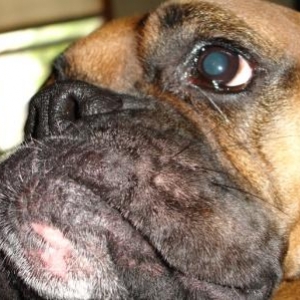 underbite!!