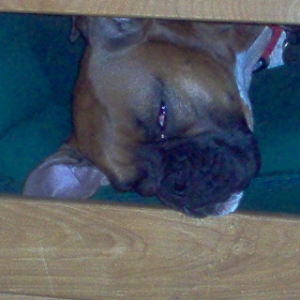 Sleeping Away