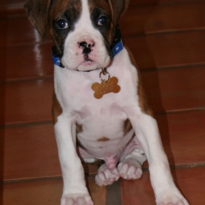 We love that face!