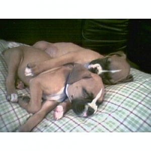 Some Sleepy Time!!!