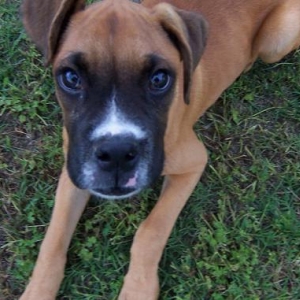 What a handsome fella!