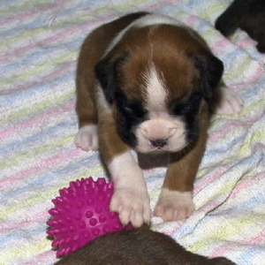 Playing with ball...