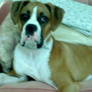 My beautiful Ali