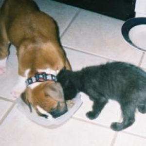 Rolen sharing a meal with his best friend, Puj!