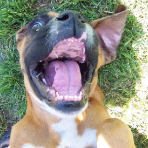 Quit ticklin me!!
