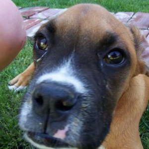 What about my ears????