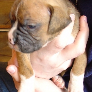 Meeting our baby boy at 4 (sleepy) weeks old!
