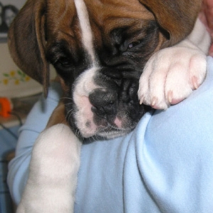 Sleepy Face