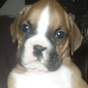 Our Baby Girl