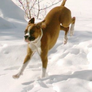 What a jump