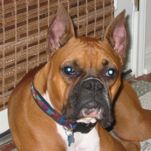 Handsome boy!