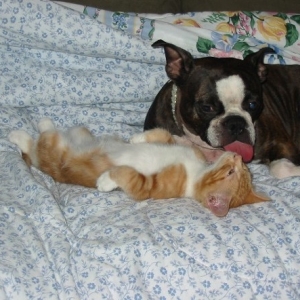 Mia & Coco Kitty