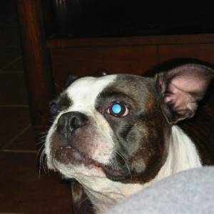 Miss Mia