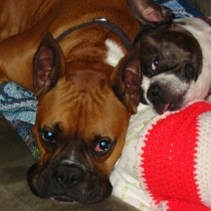 Rocky & Mia