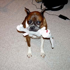 Killian and his bunny