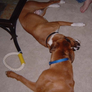 More play?