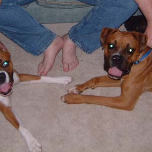 New buddies?