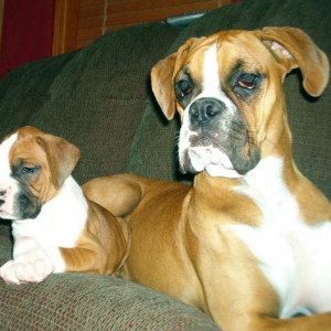 Boomer and Roxxie