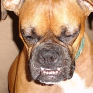 it's too early for that darn flash...