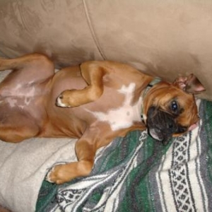 stretching out