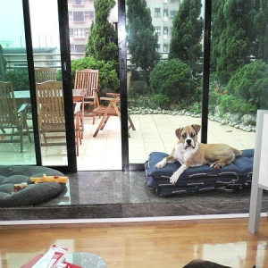 Prince on the pea.
