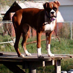 I'm on top of the world