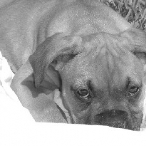 Getting sleepy