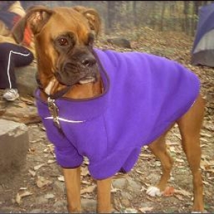 Cody - camping in fleece jacket