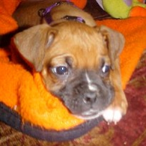 Mindy