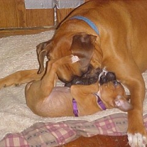 George & Mindy