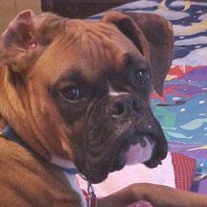 George@1yr