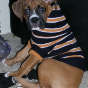 How's my sweater look?