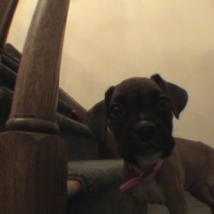 8 Weeks