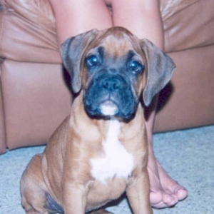 My precious Joe