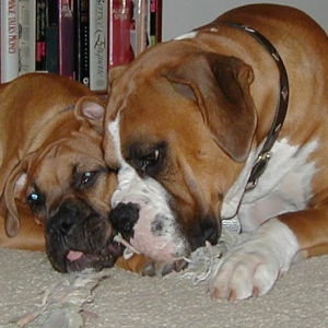 Max and Mocha