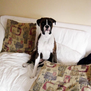 my_sofa