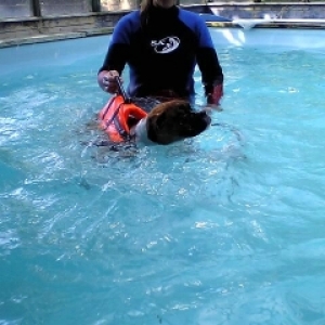 yeah I can do it