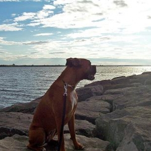 What a beautiful day