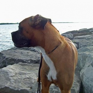 Whoa Mommy..look at all the water